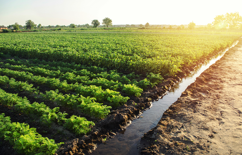 farming runnoff nitrates