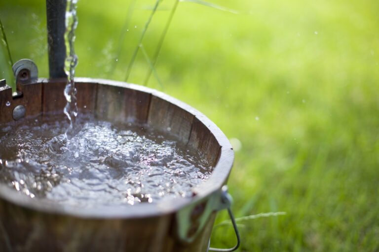Bucket of Well Water
